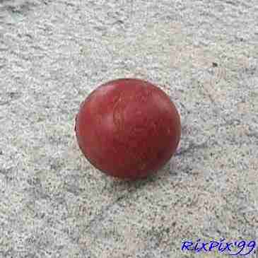 Mini (.780") Red